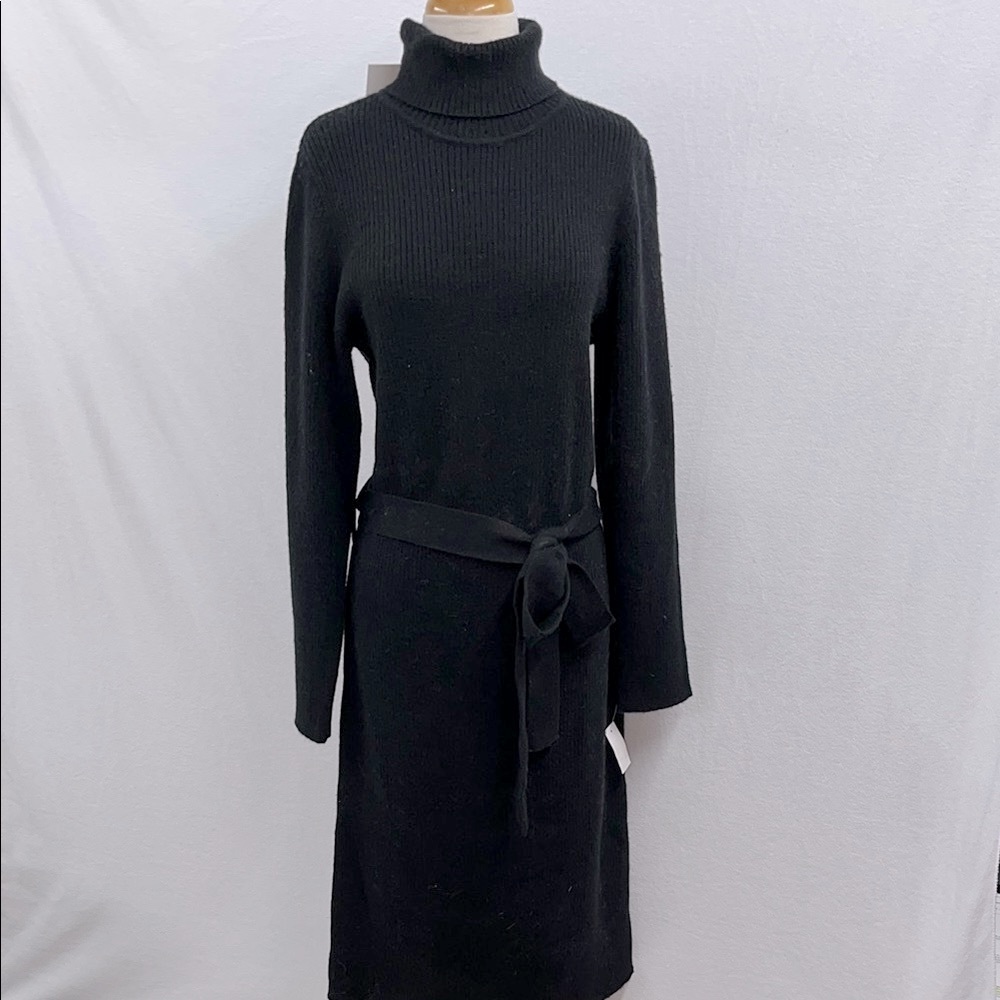 Turtleneck Sweater Dress - NWT